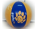 Picture of Beach Ball