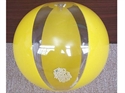 Picture of Beach Ball