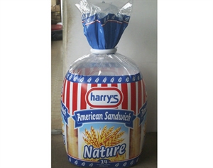 Image de Advertising Bag