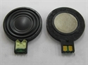 Picture of NDSL Speaker