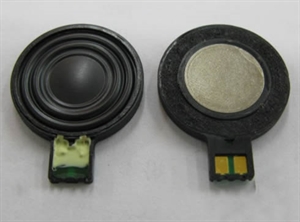 NDSL Speaker の画像
