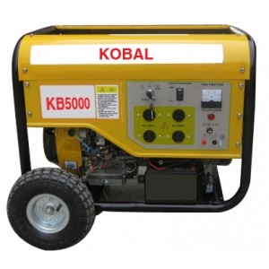 Gasoline Generator (NB2600DXE-2)