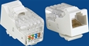 Image de Data keystone jack 
