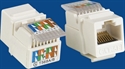 Image de Data keystone jack 