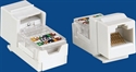 Image de Data keystone jack 