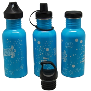 Image de STAINLESS STEEL BOTTLE