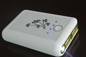 Picture of power banks