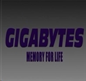 Picture for manufacturer Gigabytes