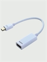 Mini DisplayPort male to HDMI female の画像