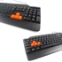 Image de Keyboard