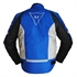 Picture of Dainese motorcycle jacket