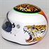 Picture of F1 RACING  helmet  FS-043