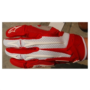 HC Alpinestars Gloves FS074 の画像