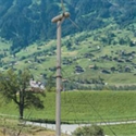 Wind Generator SZ3K-20KW P1 の画像