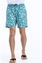 mens beach shorts