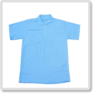 Picture of Polyester Polo Shirt
