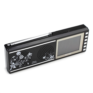 Picture of Speaker