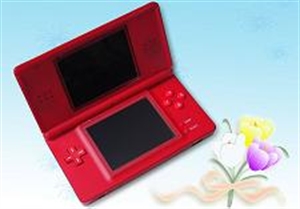 Изображение Console for NDS Lite Game