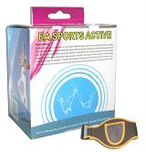 Image de wii 2 in 1 ea sports active