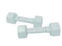 Picture of wii dumbbell