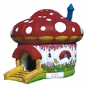 Picture of mushroom