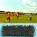 Изображение Artificial turf