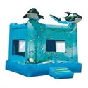 Image de Aquarium