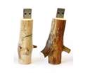 Image de USB Flash Drive