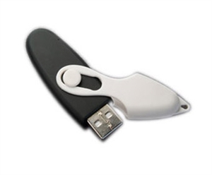 Image de USB Flash Drive