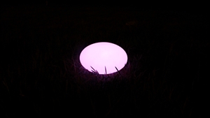 Image de Flat Ball(small)