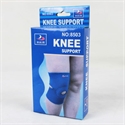 Picture of knee support
