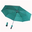 Picture of umbrella