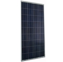 Picture of Poly Solar Panels