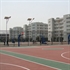 Picture of Solar LED Street Lights