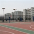 Image de Solar LED Street Lights