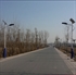 Image de Solar LED Street Lights