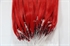 Picture of Top Quality Virgin  Micro ring hair extension
