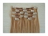 Picture of 100% Human hair clip in hair extension