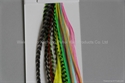 Picture of colorful and different kinds of Feather ,real feather ostrich feather