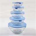 5PC Glass Bowl Set with Lids