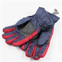 Picture of Ski Glove