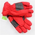 Picture of Ski Glove