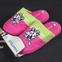 Picture of slipper