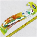 Image de Tooth Brush HERO