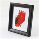 Frame