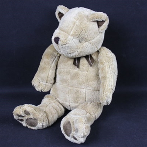 Picture of stuffed bear