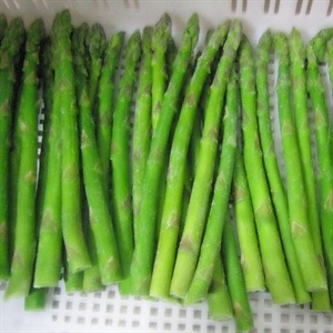 Image de Frozen Green Asparagus