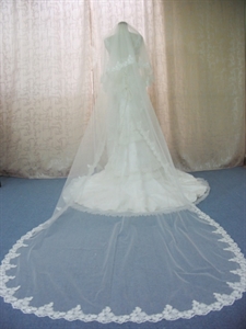 Picture of V006V006