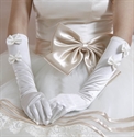 Image de Gloves1gloves1