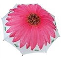 Image de 23inchX8K wooden straight follower umbrella